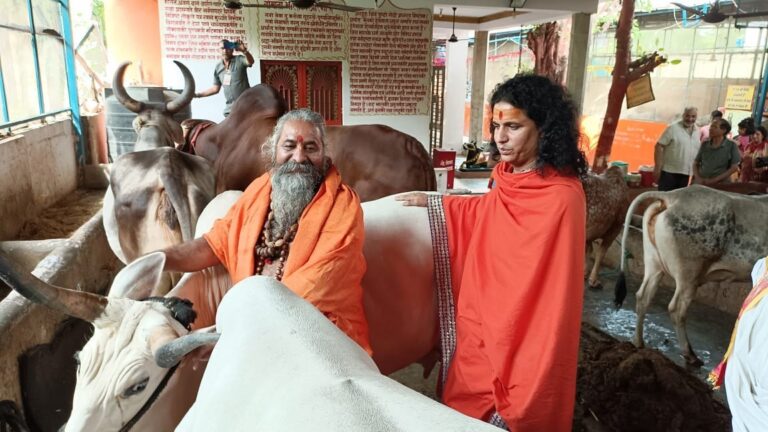 Shelter We have very big adequate facility to provide good shelters to these rescued gauvansh. We continue building cow sheds as the number of cows being protected are increasing day by day.