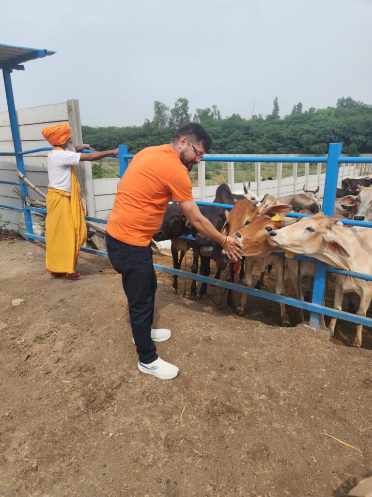 Protection As on date 21,000+ stray/ destitute Desi Indian Cows / bulls and her progenies are being sheltered in our Gaurakshashala which are brought through various channels such as Police, Government, NGOs, Farmers etc. We give these gauvansh a second life. We shelter, feed and take care of them completely. We have in-house medical facility for them.